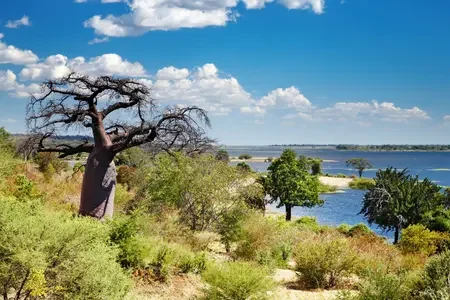 Botswana (5)