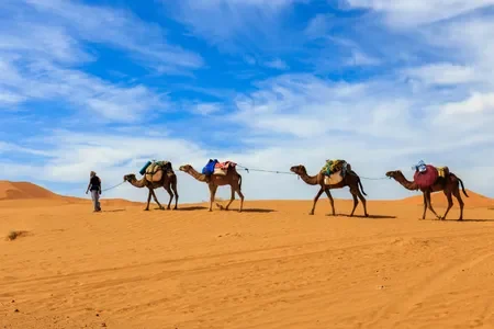 Family Adventure. (1)