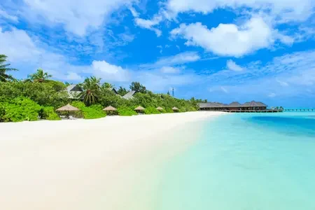 Maldives-1.webp