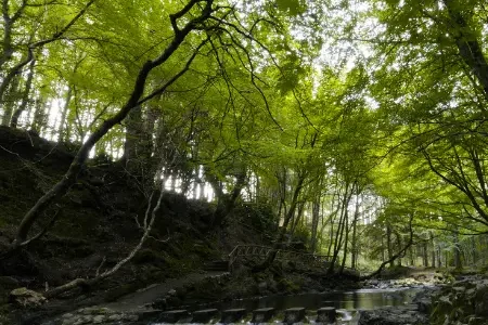 Northern Ireland (9)