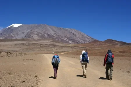 Treks and mountain adventures. (1)